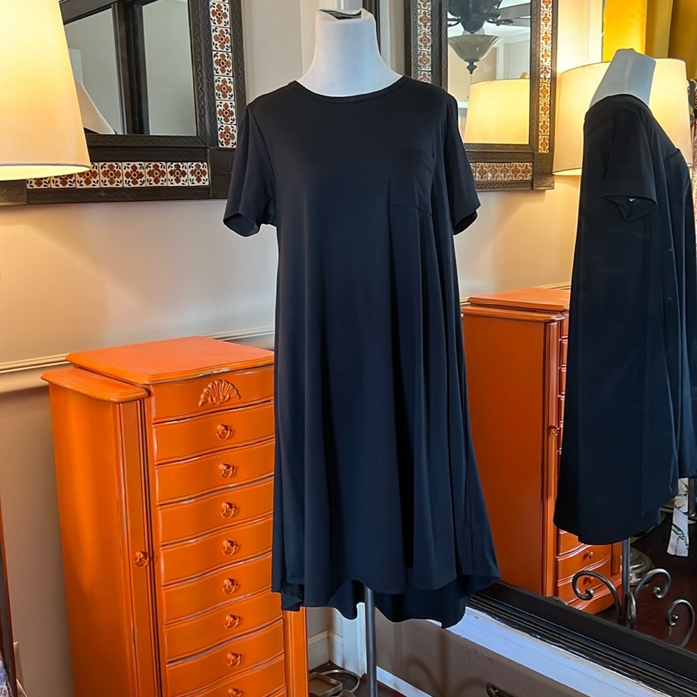 LuLaRoe Carly Swing Dress